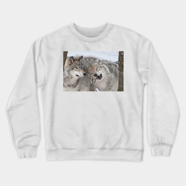 Timber Wolves Crewneck Sweatshirt by jaydee1400